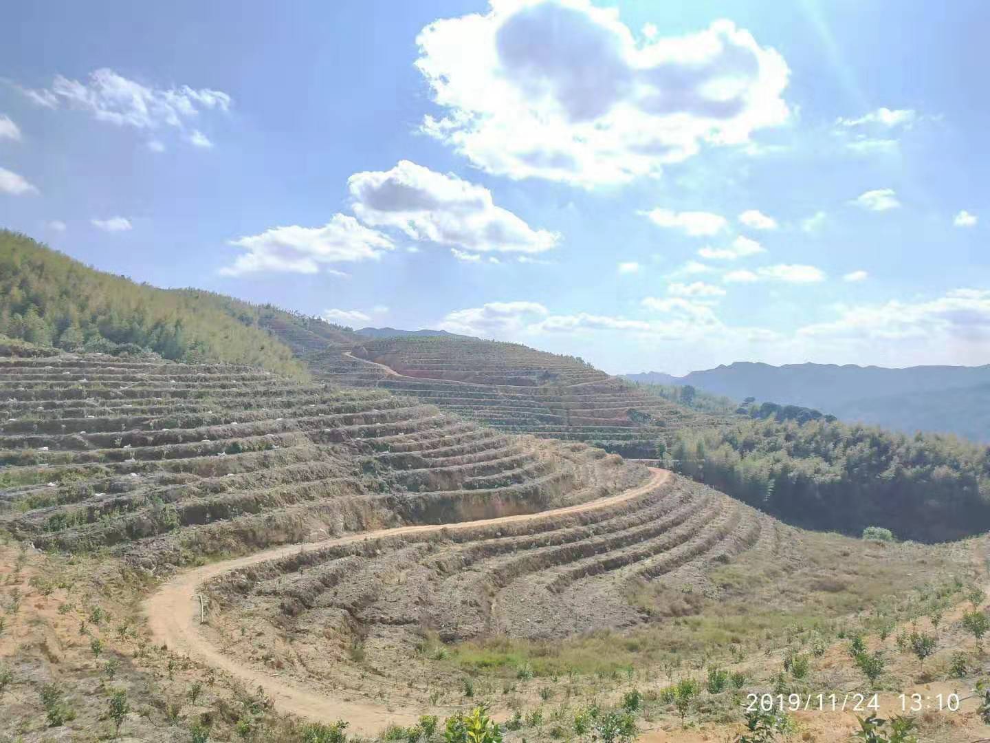 广告1