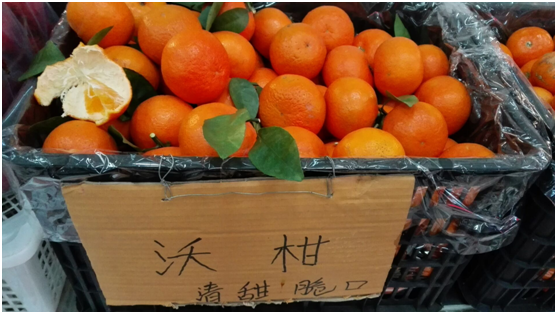 沃柑怎么打的,吃完沃柑的籽发芽了