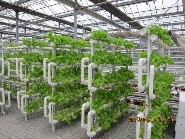 农业种植运营管理方案,绿色种养循环农业运维f