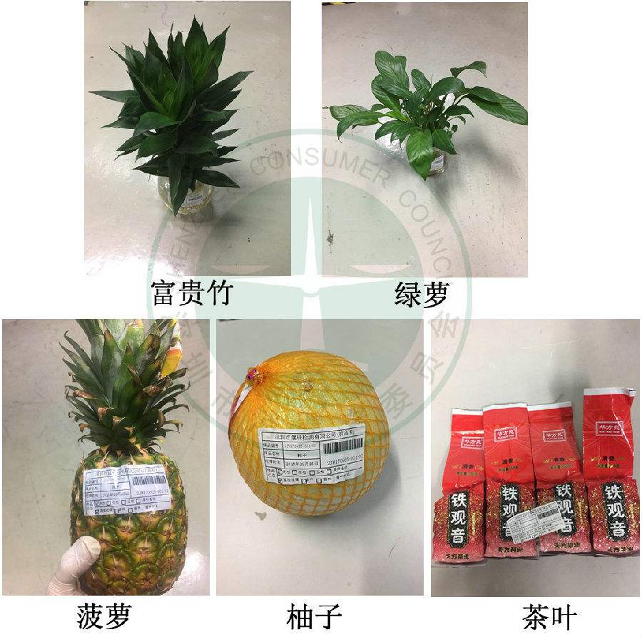 菠萝去甲醛,吸甲醛最好的方法