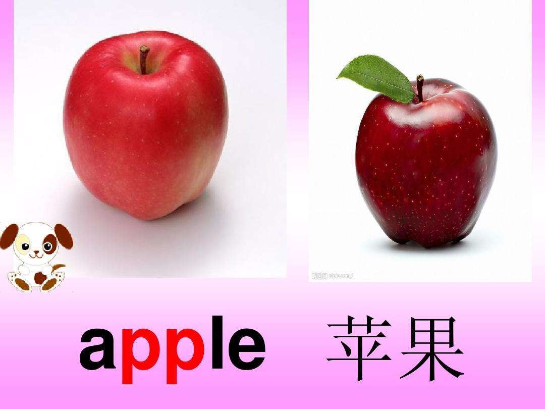 关于水果种类英语名称大全的信息