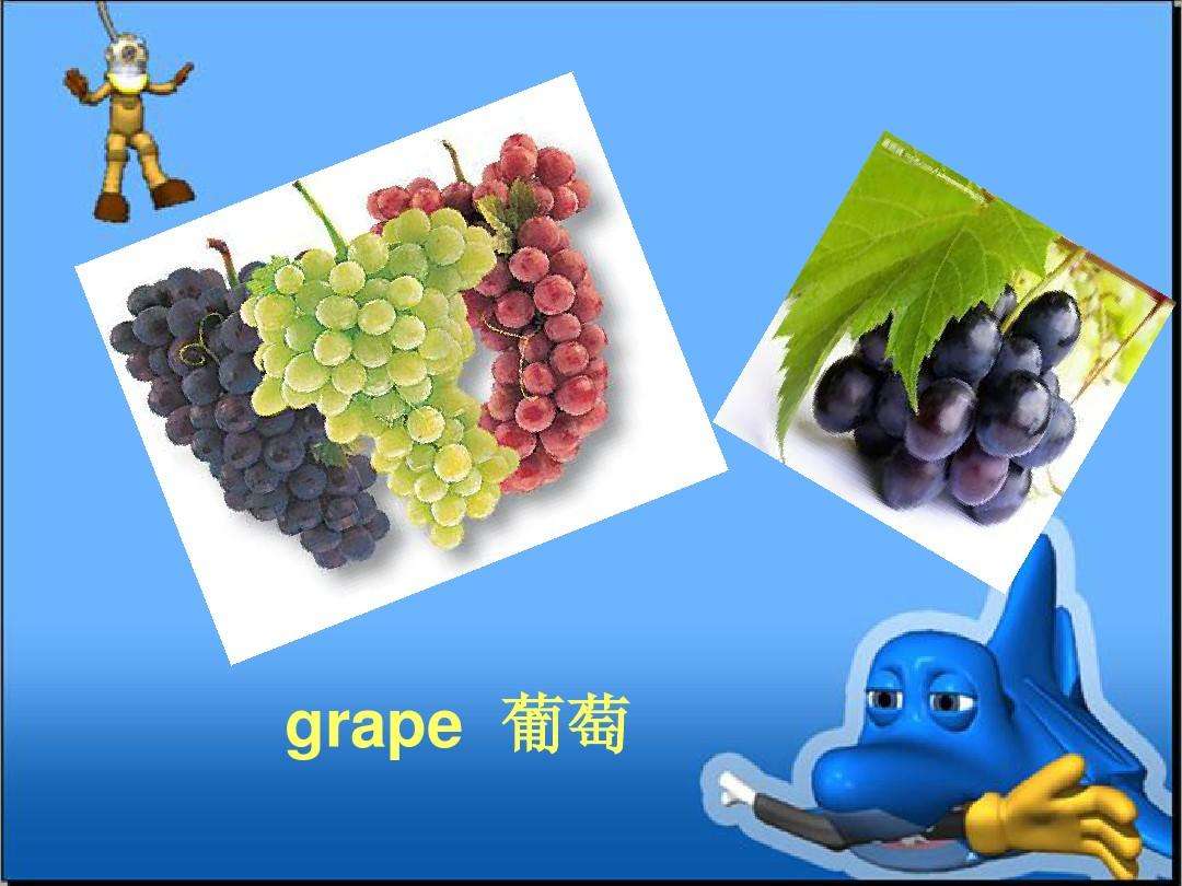 关于水果种类英语名称大全的信息