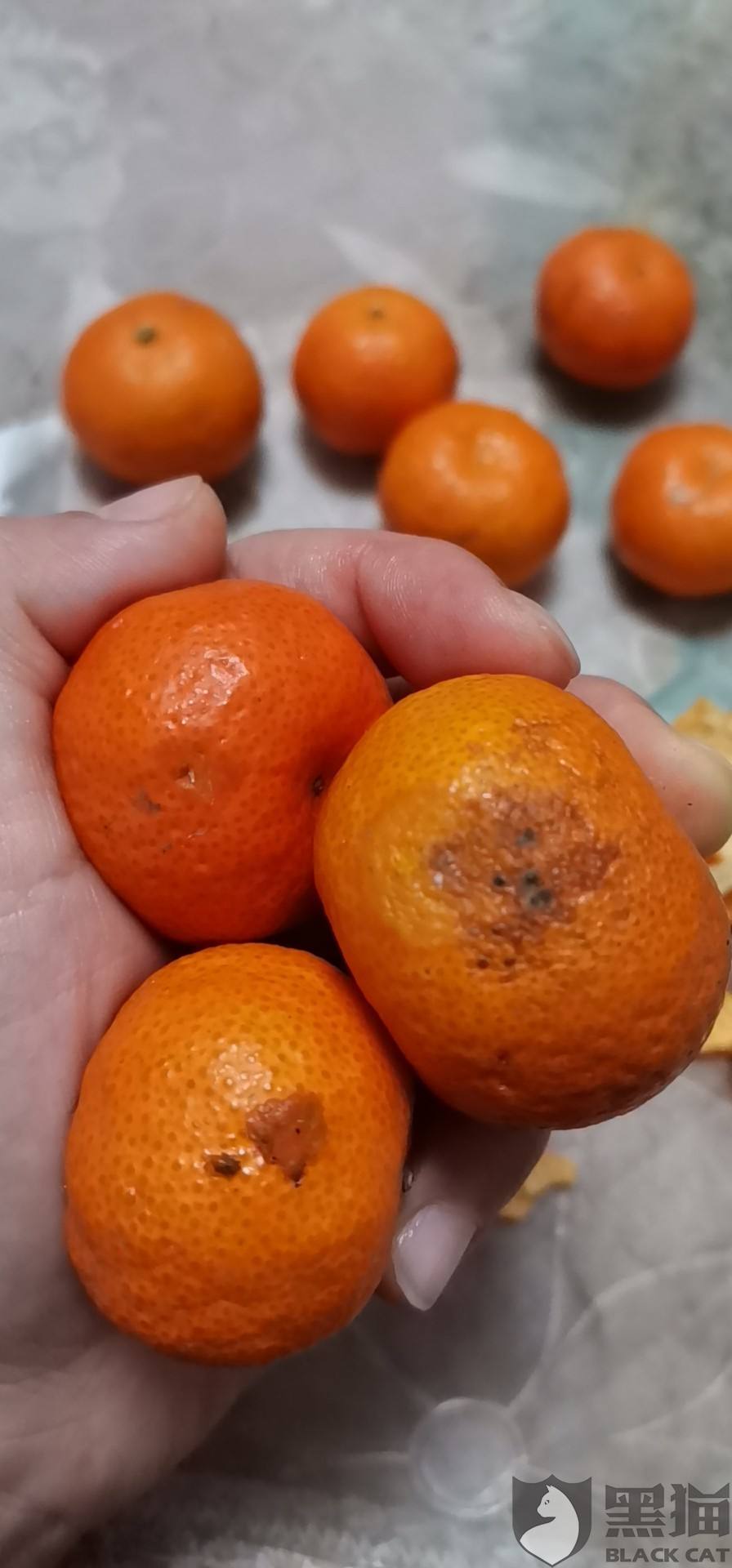 砂糖橘坏一点,怎样让自己变坏一点