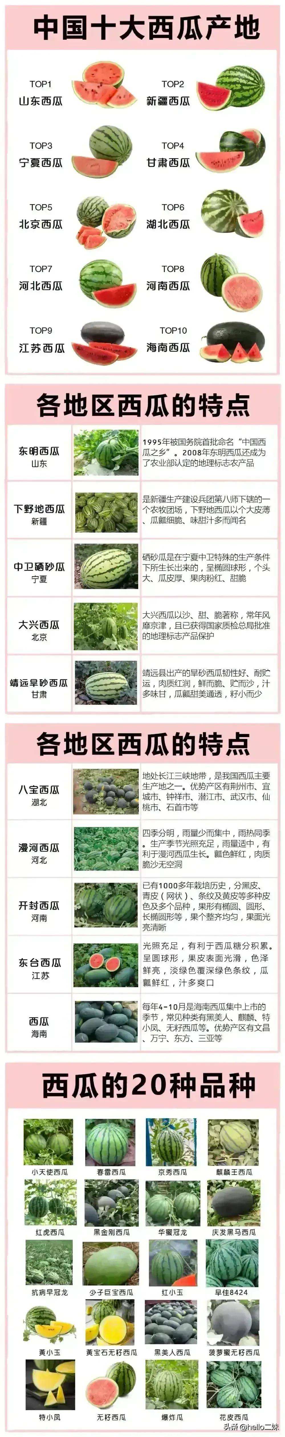 水果表示种类,表示动物种类多的成语