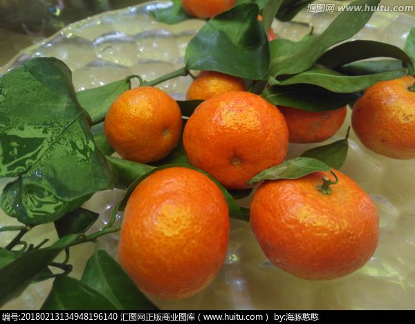 砂糖橘白色的,沙糖桔几月份成熟上市