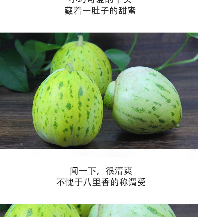 花姑娘水果的种植,花姑娘水果图片和吃法