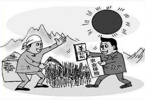 农业保险的运营举例,我国农业保险经营模式