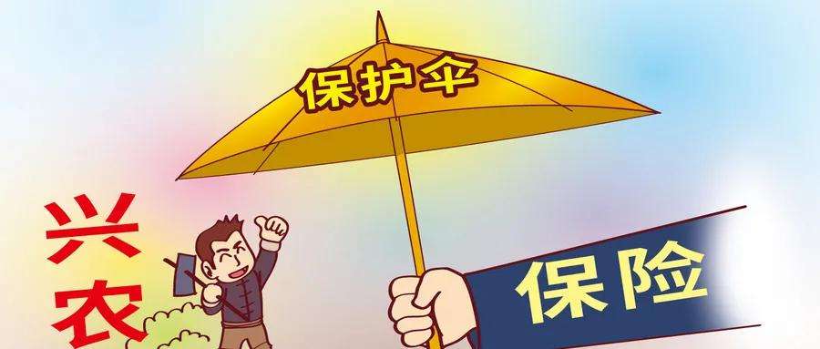 农业保险的运营举例,我国农业保险经营模式