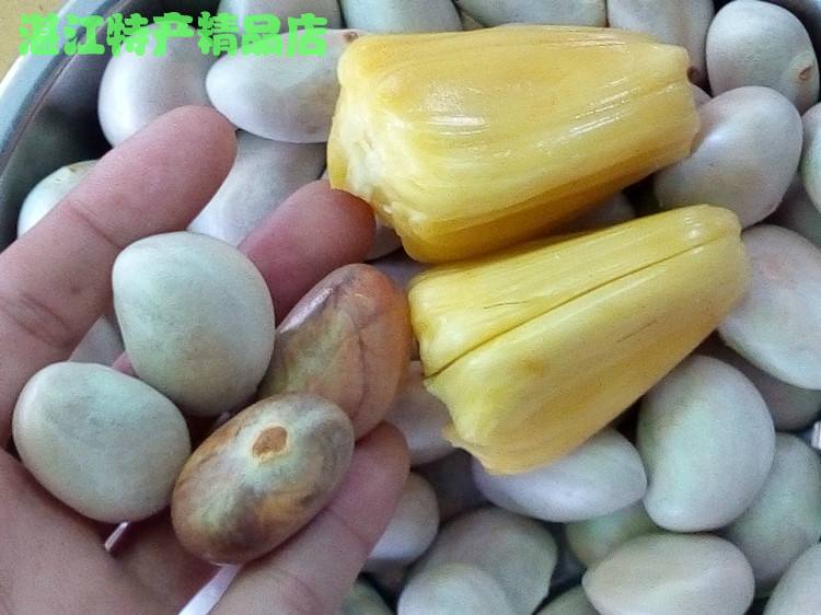 树菠萝的籽,菠萝蜜的籽有什么功效