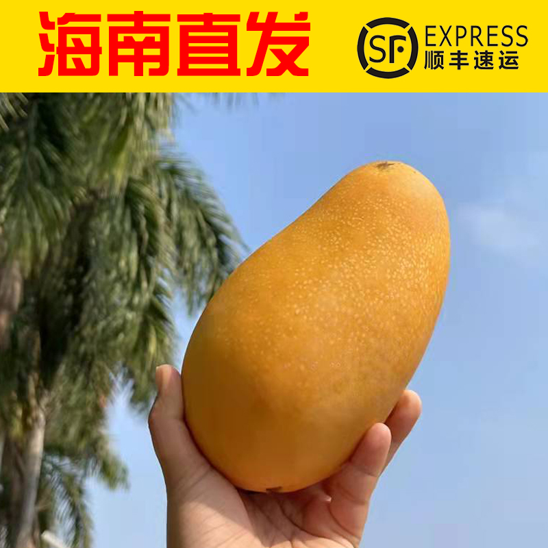 水果树快递怎么运输,水果寄快递要怎样包装