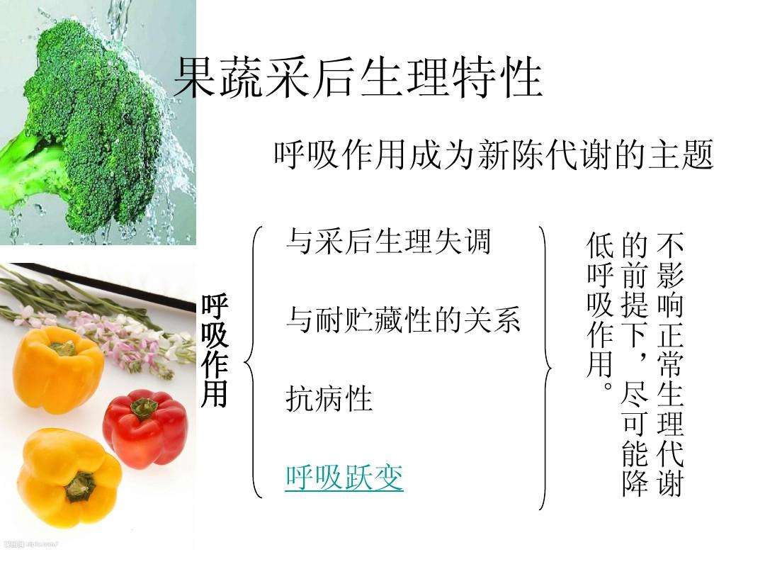 包含关于水果的保鲜和运输课件的词条