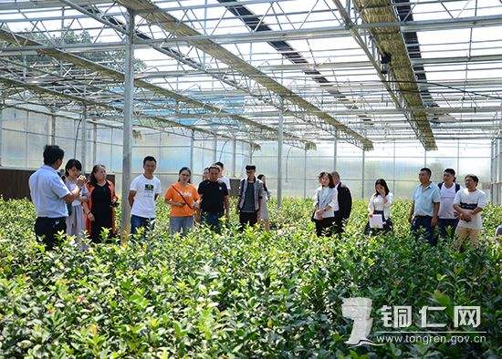 农业科技园区管理办法的简单介绍