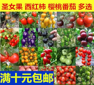 包含全国各地运输蔬菜水果的词条