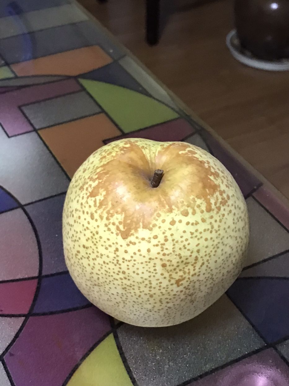 好吃的水果梨作文,介绍一种水果梨作文