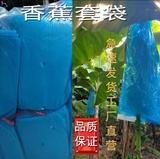 水果运输怎么包装防冻,水果运输适合什么运输方式