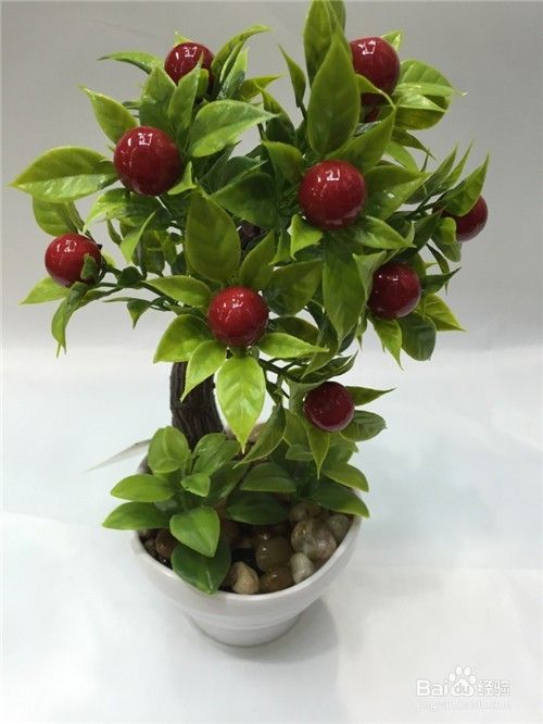 水果盆景栽种植方法,家庭水果盆栽种植方法