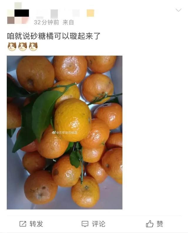 甘橘砂糖桔,春甜桔和沙糖桔的区别