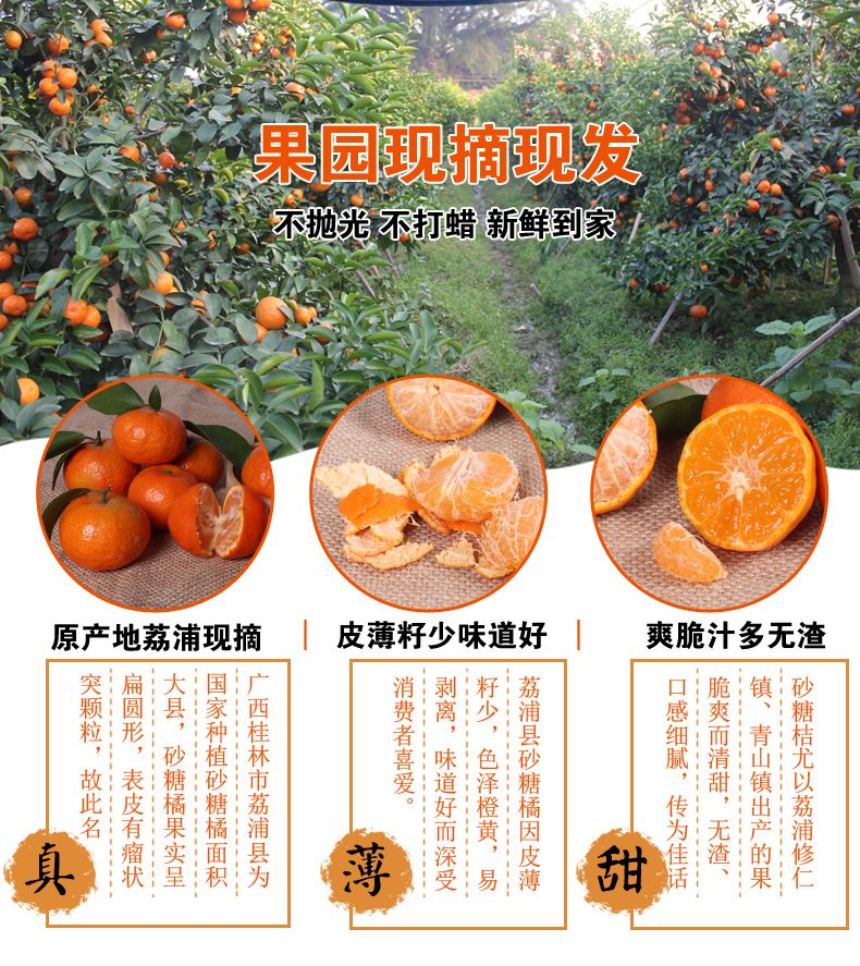 包含潮汕砂糖橘的词条