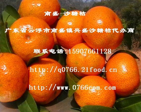 砂糖橘发展,今年砂糖橘市场预测