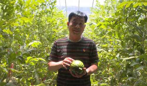 扶贫水果种植,助农扶贫宣传语