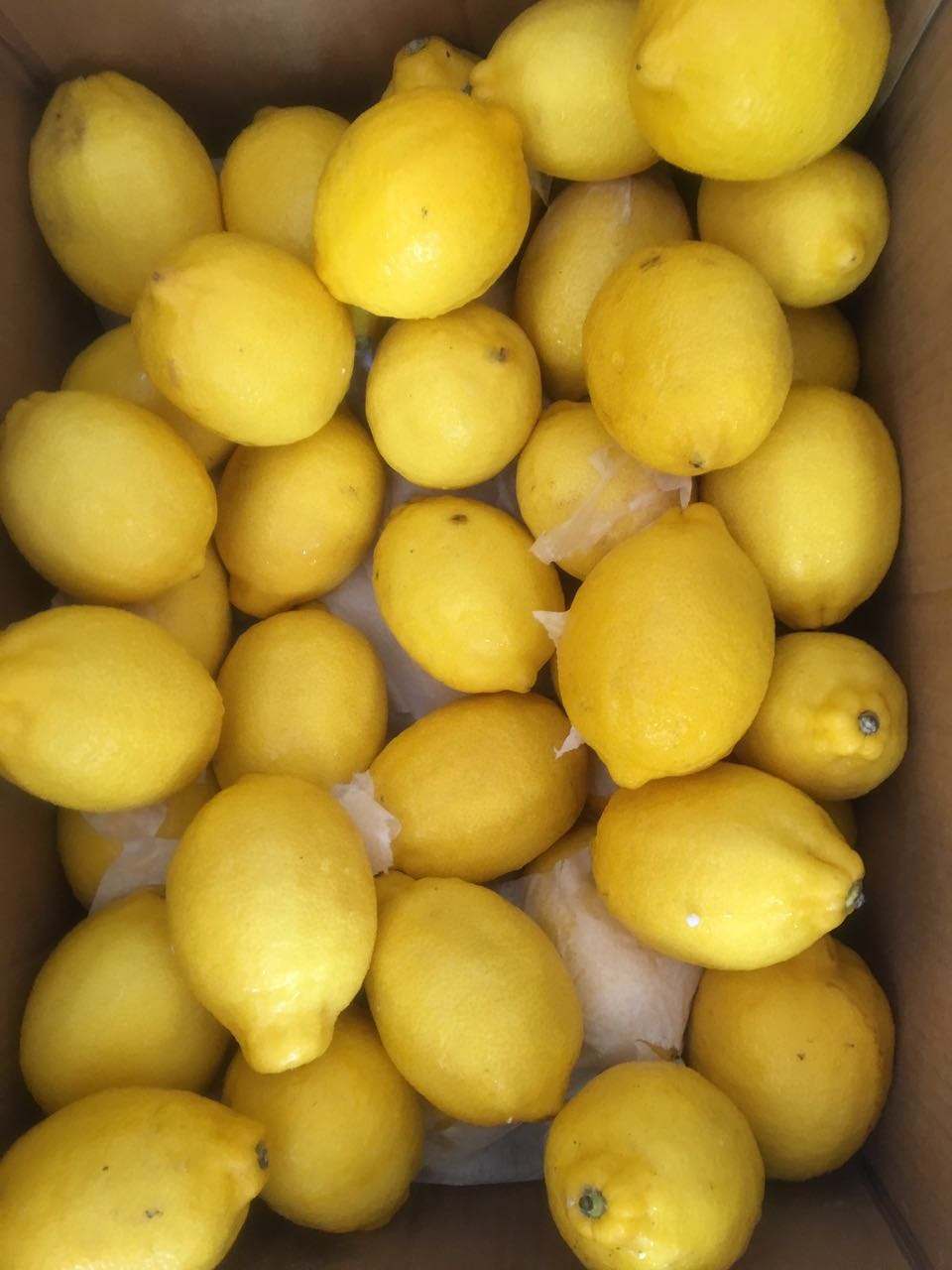 跟柠檬同一种类的水果的简单介绍