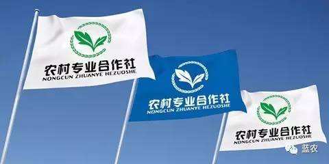 订制农业的运营模式,农业走出去市场运营模式