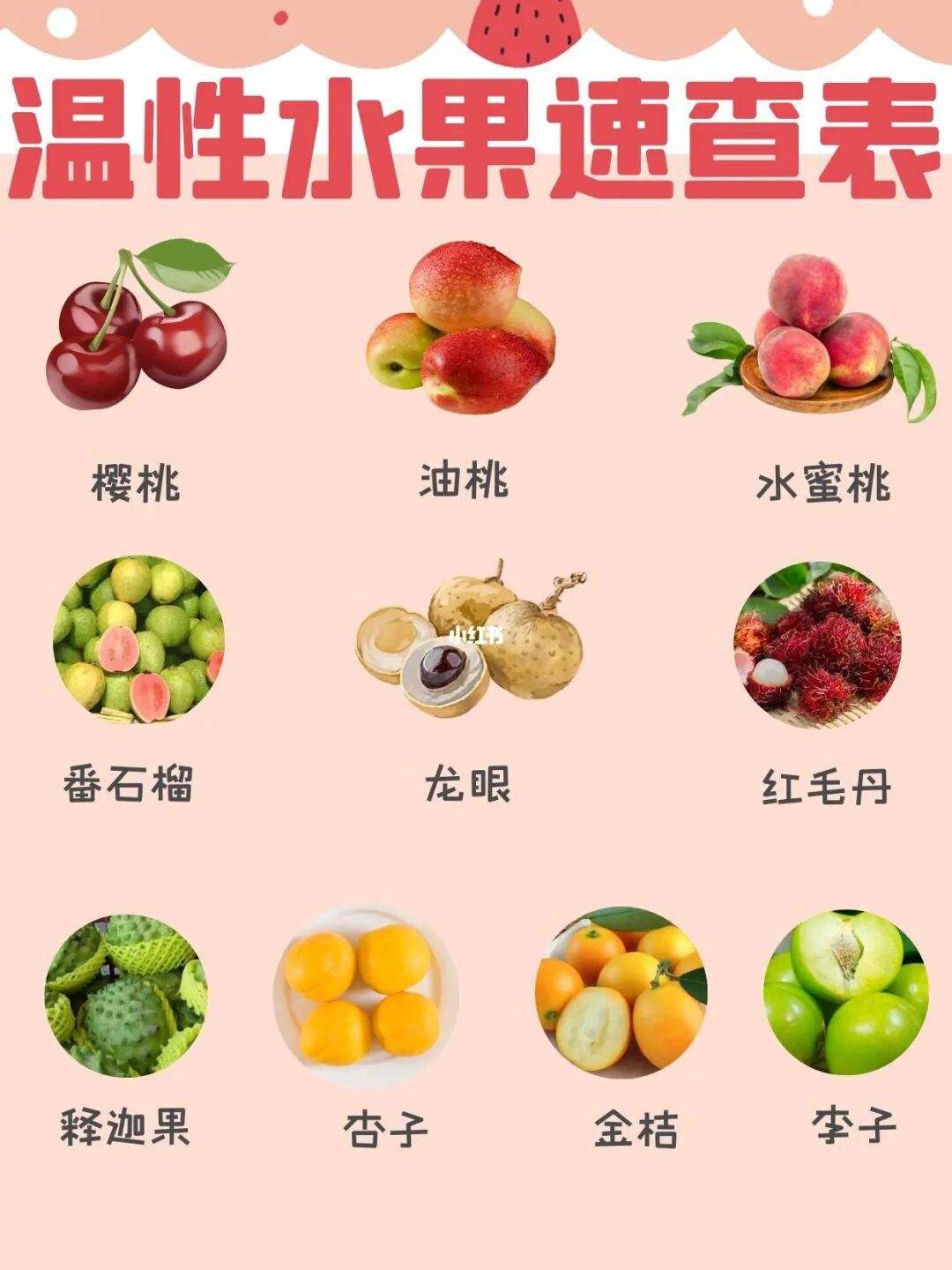 清凉的水果有哪些种类,100种水果名字和图片