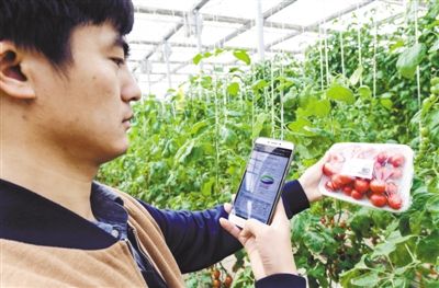 农业管理信息化,农业信息化是在农业等各个领域