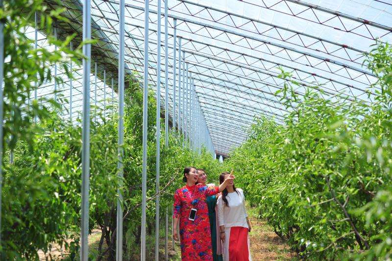 种植农业园区运营的简单介绍