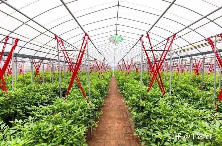 种植农业园区运营的简单介绍
