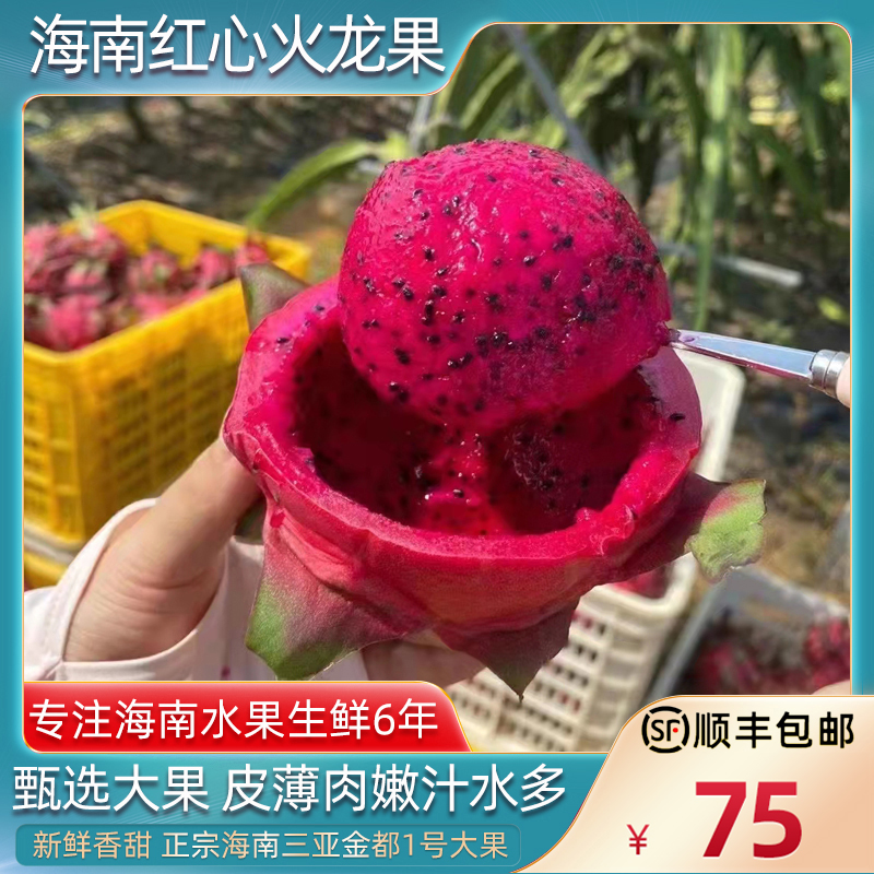 三亚火龙果,池州东至绿化栏杆长