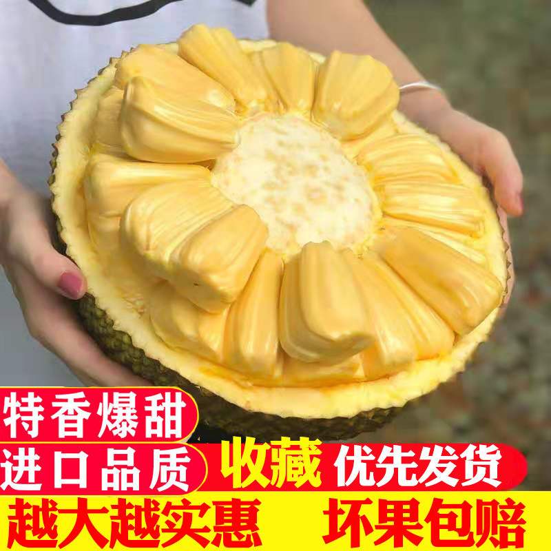 菠萝蜜切开,菠萝蜜切开没熟怎么办