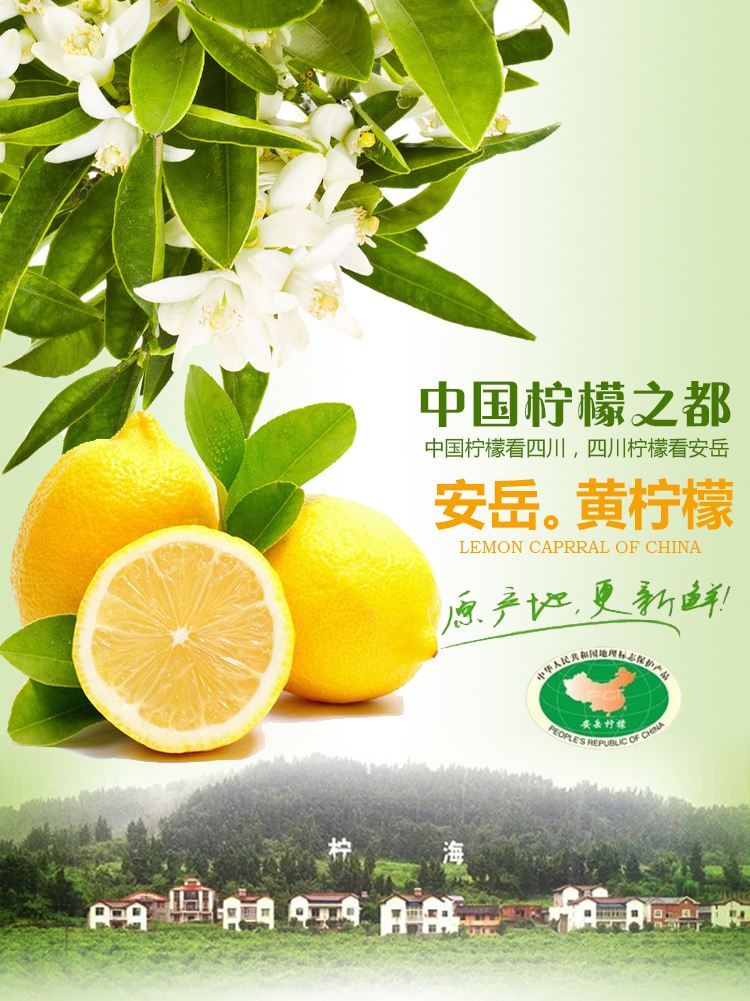 网上水果,水果批发一手货源网站哪个好