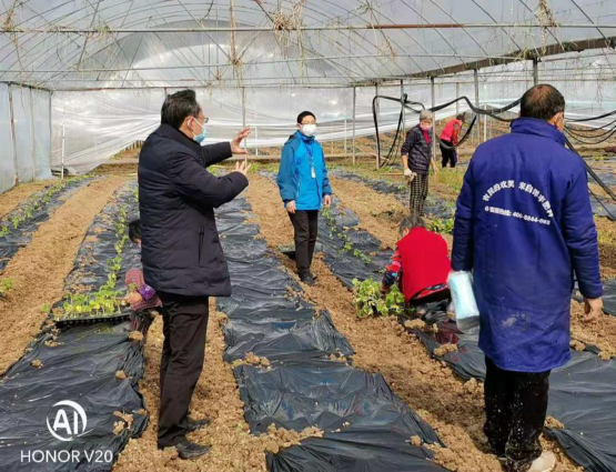 关于农业项目安全生产管理的信息