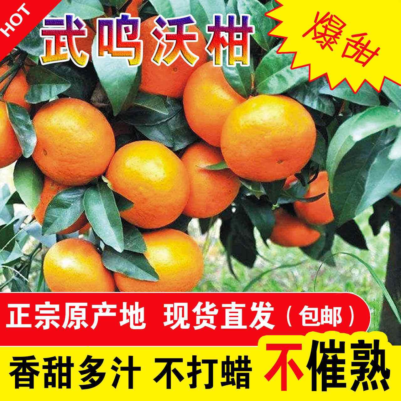 越南沃柑,越南青皮红心柚的功效