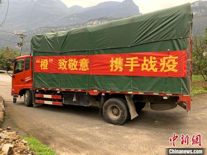 运输水果的流程,果蔬分级的标准有哪些