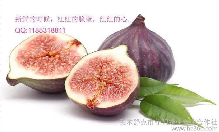 关于一种类似无花果的水果的信息
