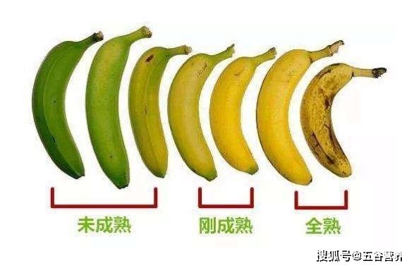 水果的便秘,水果导致便秘