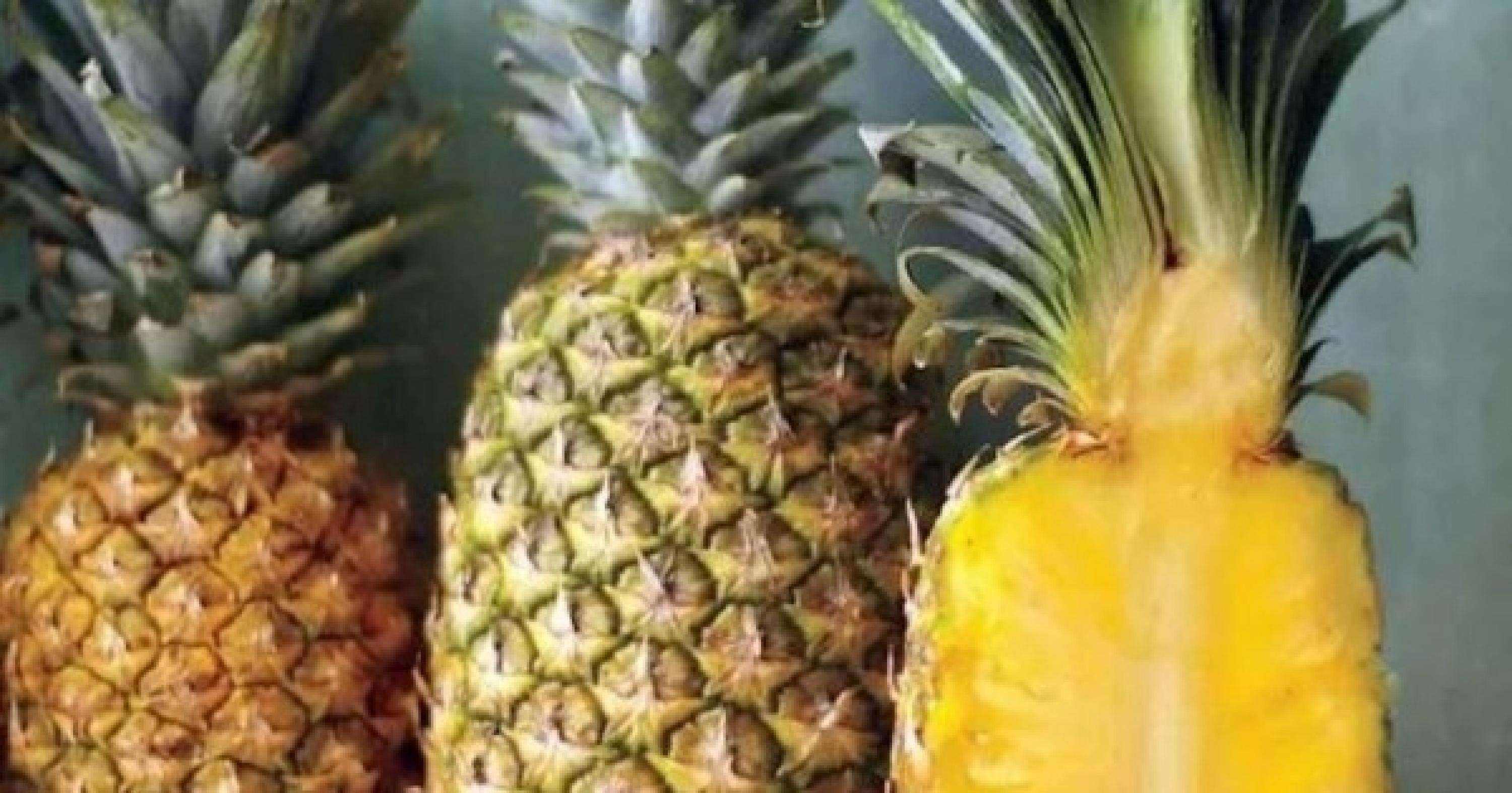 菠萝是上火的吗,菠萝上火还是降火