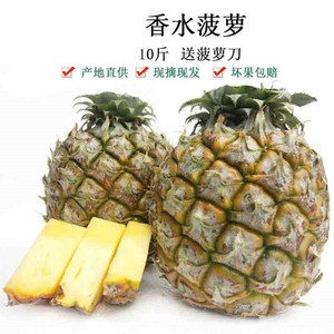 菠萝是上火的吗,菠萝上火还是降火
