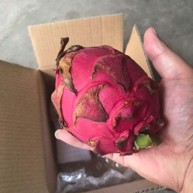 蜜宝和火龙果的区别,蜜宝火龙果多少钱一斤