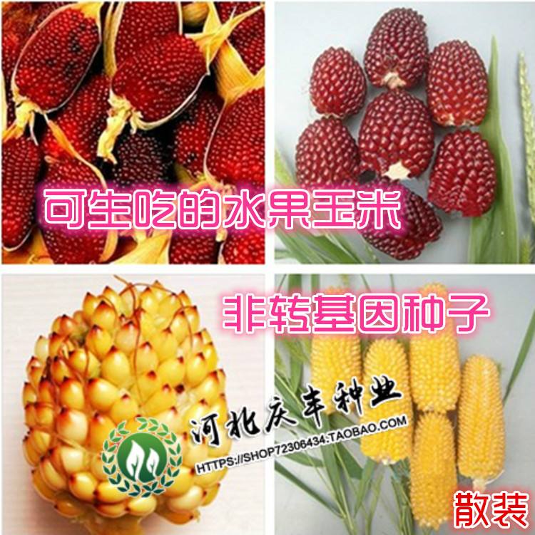 菠萝是种子吗,菠萝肉里有褐色的籽