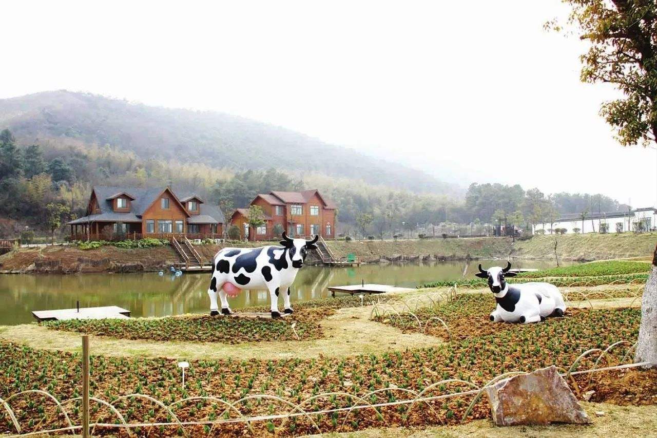 休闲农业运营过程中注意什么,新型农业经营主体的运营与发展