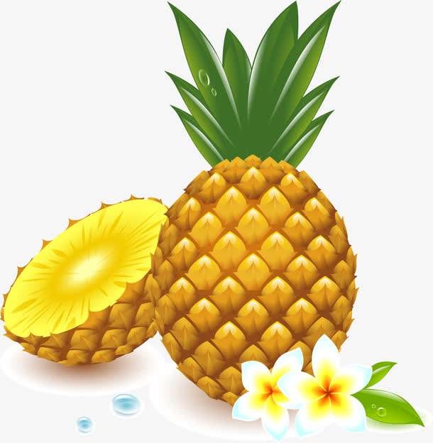 菠萝寓意,菠萝的寓意及象征