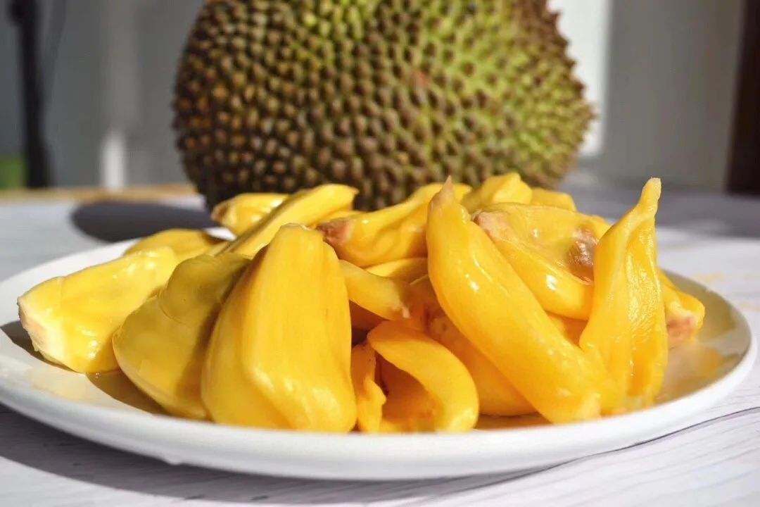 菠萝蜜水果种类,菠萝蜜有几个品种