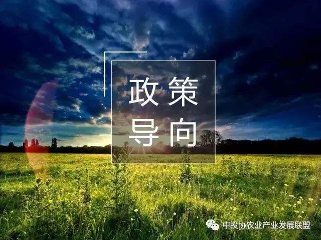 包含个人独资农业经营运营全套流程的词条