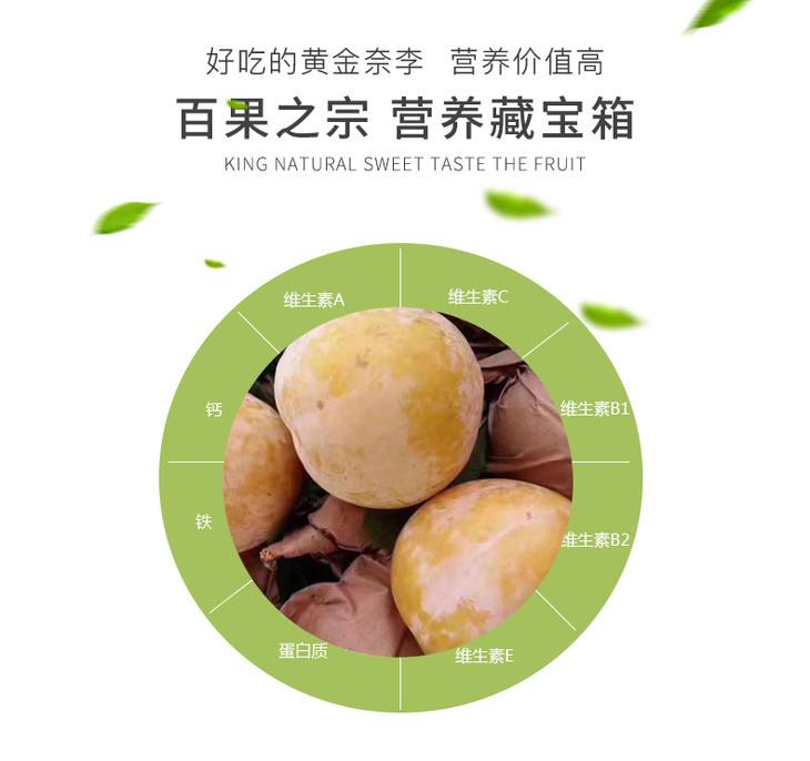 金色水果种类,什么水果又黄又圆又酸
