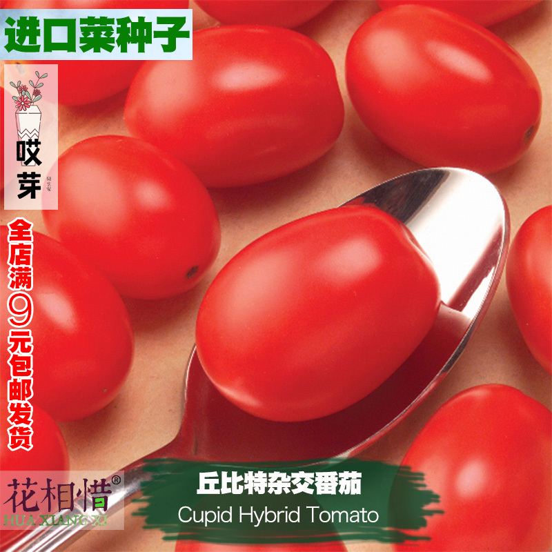 水果西红柿有什么好处,西兰花的功效与作用知乎