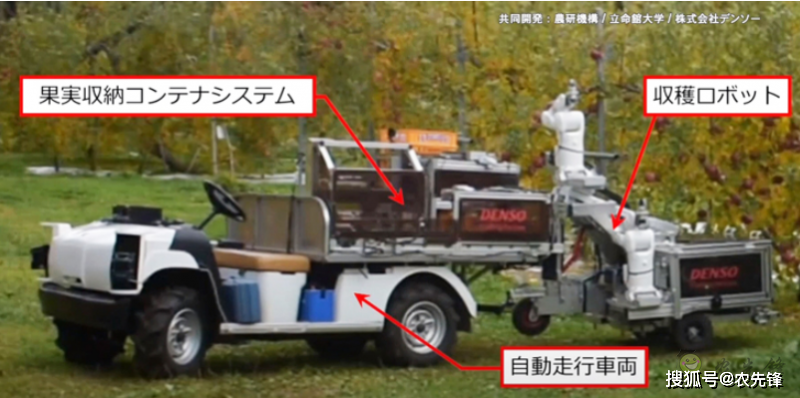自动运输水果神器,摘水果神器制作方法