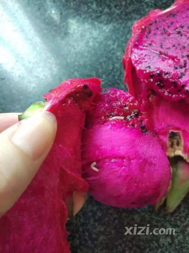 火龙果上火吗,清热降火的10种水果